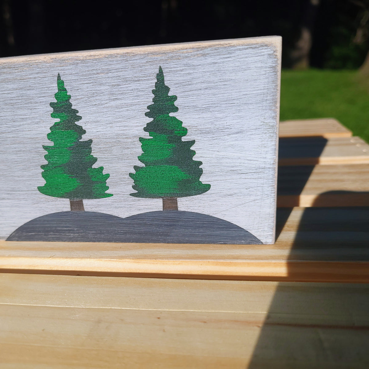 NC Hiking Shelf Decor (Custom)
