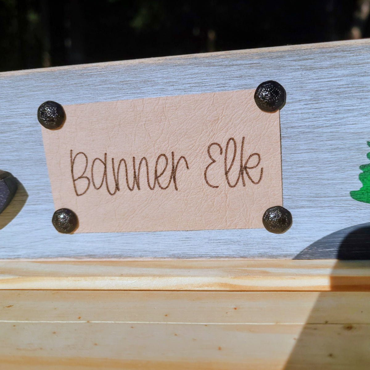 NC Hiking Shelf Decor (Custom)